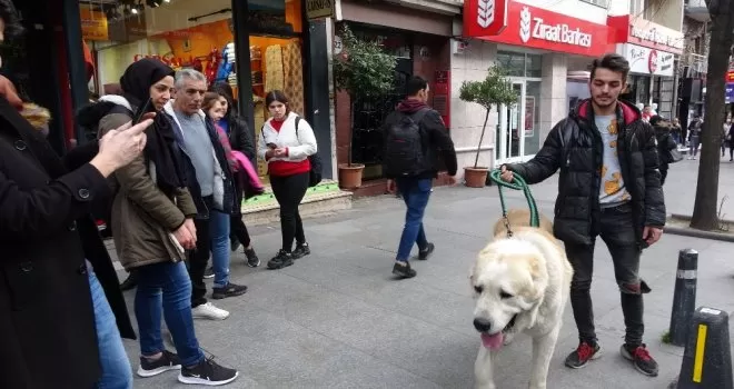 Türkiye’de daha büyüğü yok! Onu görenler şaşkınlıklarını gizleyemedi