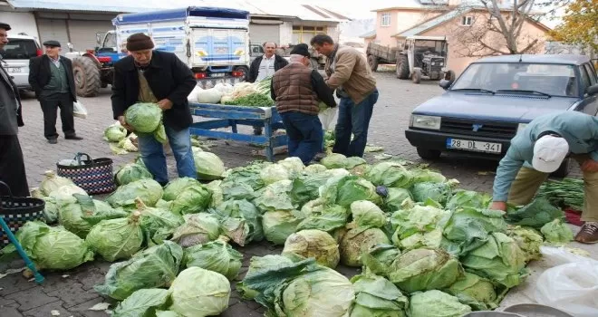 Pancar üretimi yüz güldürecek
