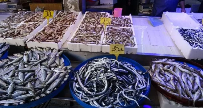 Pandemi balık fiyatlarını düşürdü
