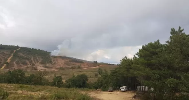 Pendik’te orman yangınına havadan ve karadan müdahale
