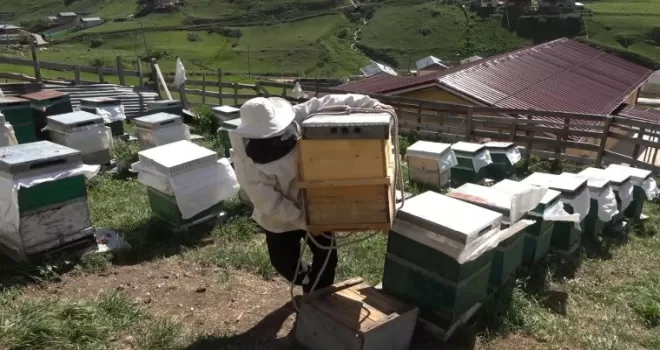 Petekler Anzer Yaylası yolunda
