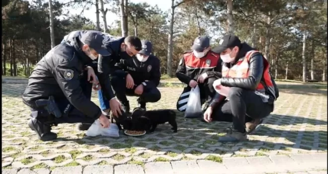 Polislerden can dostlarına yardım eli
