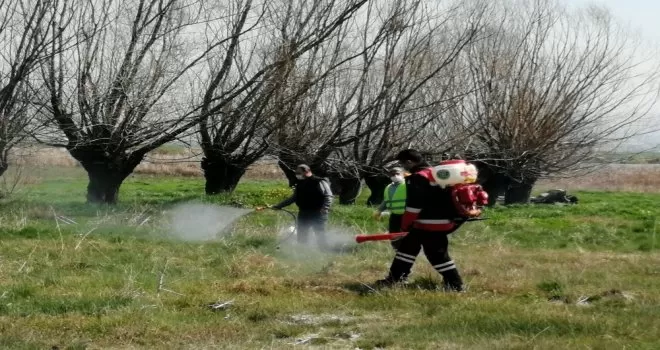 Pursaklar’da yaz öncesi ilaçlama
