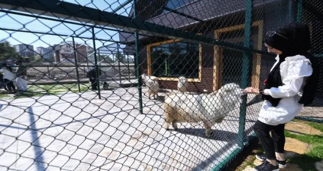 Pursaklar’ın yeni cazibe merkezi ‘‘Endemik Vadi’’
