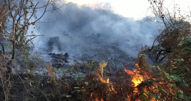 Rize’de 2 ayrı bölgede orman yangını
