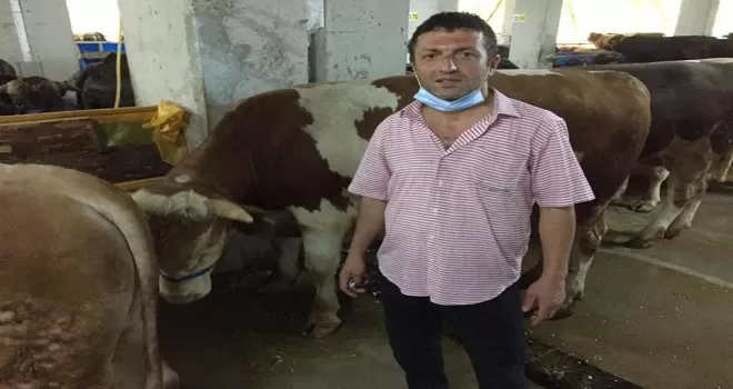 Rize’de denize düşen amatör balıkçı hayatını kaybetti
