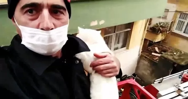 Rize’de itfaiye ekiplerinden kedi kurtarma operasyonu
