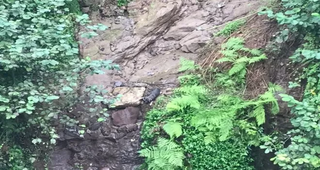 Rize’de itfaiyeden köpek kurtarma operasyonu
