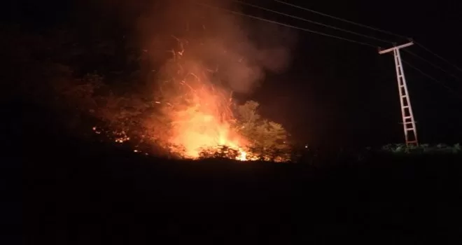 Rize’de orman yangını
