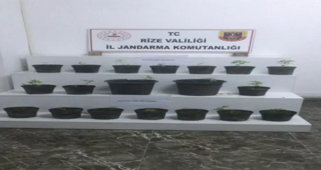 Rize’deki uyuşturucu operasyonlarında 3 kişi gözaltına alındı