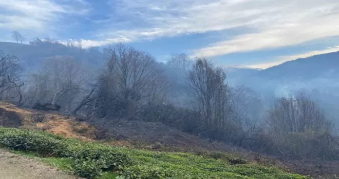 Rize’nin Fındıklı ilçesinde yangın
