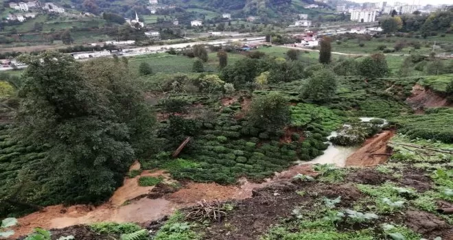 Rize’nin Pazar ilçesinde heyelan
