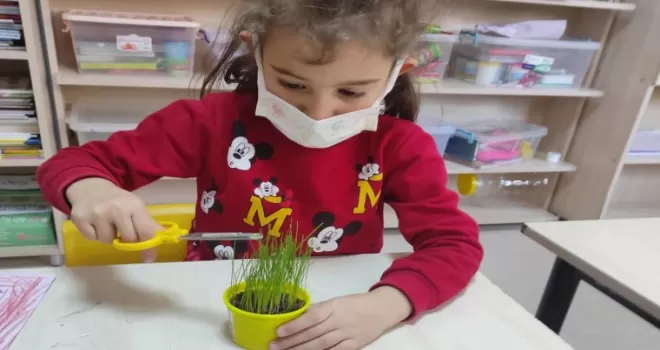 Sağlıklı Kentler Birliği’nden Çankaya’ya iki ödül
