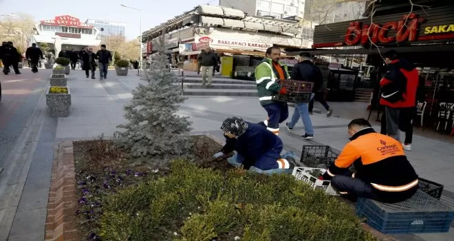 Sakarya’da 13 bin çiçek açtı
