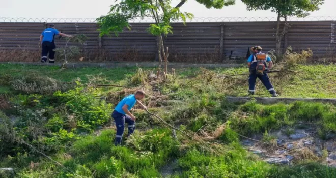 Sakarya’da ’Çark’ta hummalı temizlik