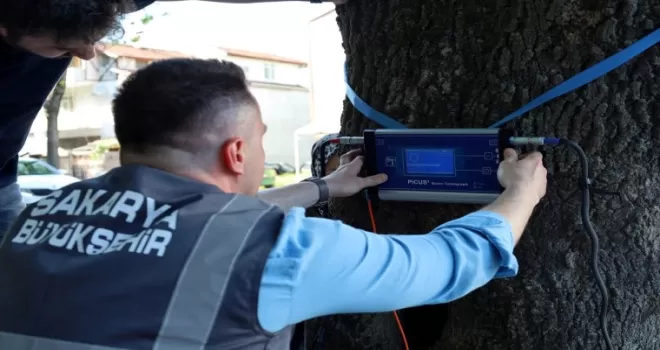 Sakarya’dan doğaya ‘şifa’ gibi adım... Yeşil cennetin tomografisi çekilecek