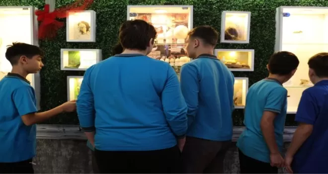 Samsun’da ortaokul öğrencilerinden okulda Doğa Müzesi