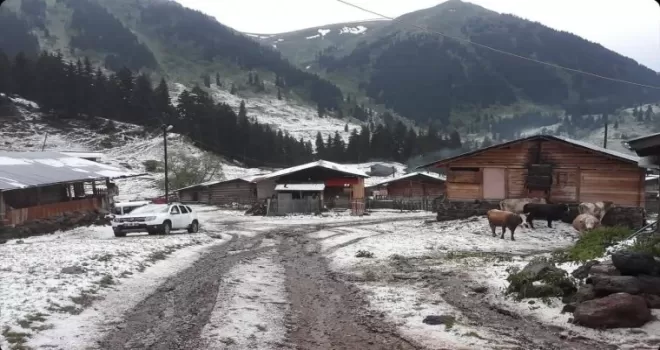 Şavşat’ın köyleri dolu yağışıyla beyaza büründü
