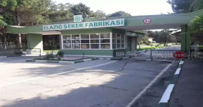 Şekere doydular
