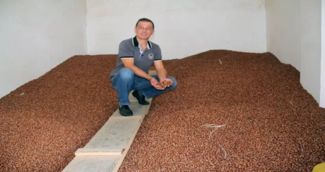 Serbest piyasada fındık fiyatı 26 liraya yükseldi