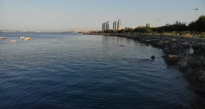 Sıcaktan bunalan vatandaşlar Pendik’te denize girdi
