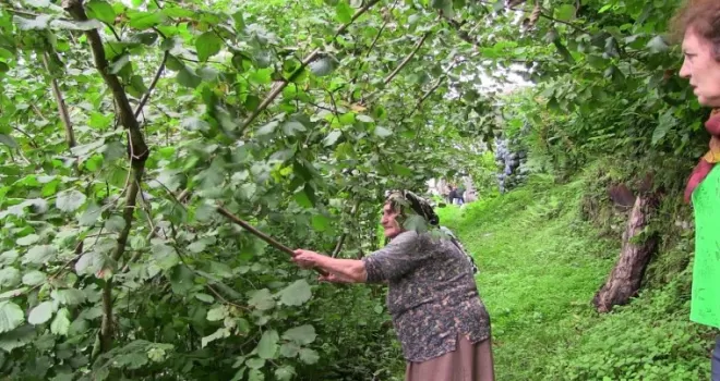 Şiddetli yağmurda istinat duvarı çöktü