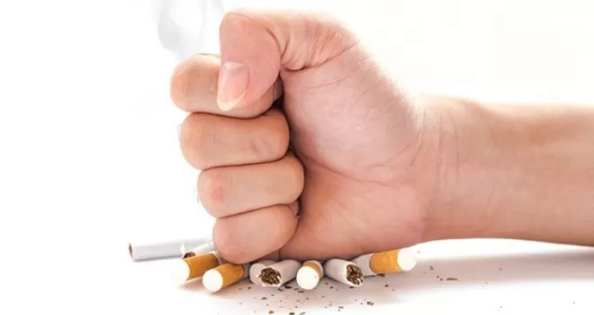 Sigara bırakmak isteyenlere nikotin alternatifi; Patlıcan
