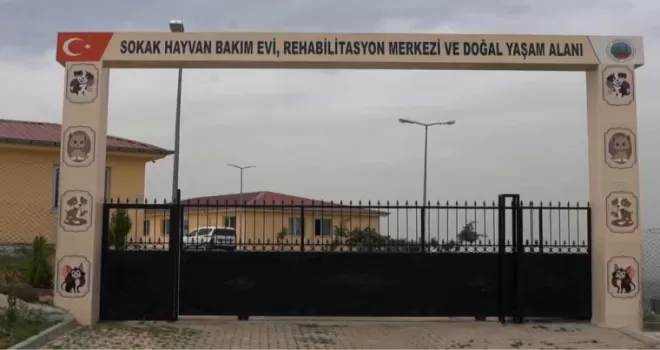 Siirt’te sokak hayvanları için dev proje