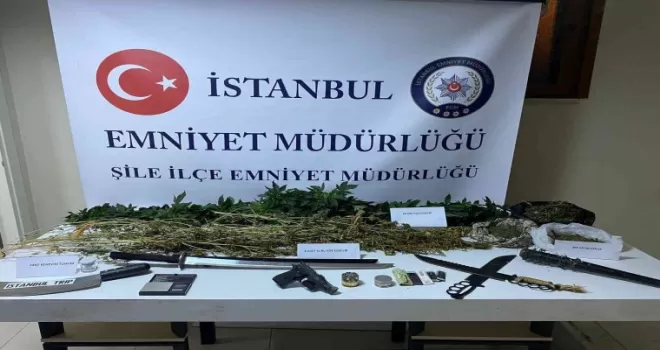 Şile’de seraya çevrilen evde 94 kök Hint keneviri ele geçirildi
