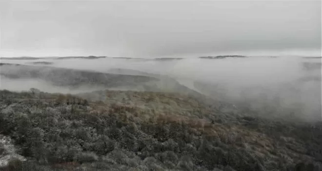 Şile ormanları kara ve sise büründü
