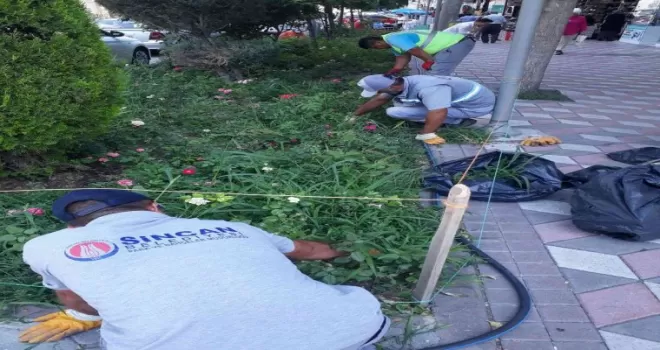 Sincan Belediyesi yeşil alanlarda bakım çalışmaları yapıyor
