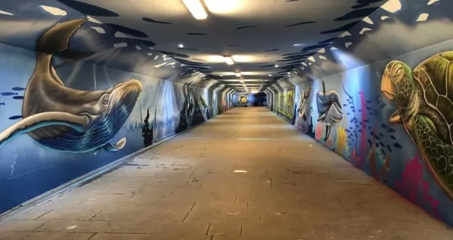 Sincan grafiti ile renkleniyor
