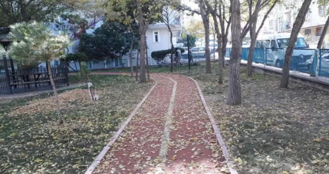 Sincan sonbaharda da ışıl ışıl

