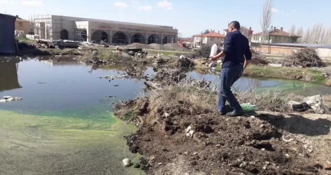Sinek ve haşere ile mücadele erken başladı

