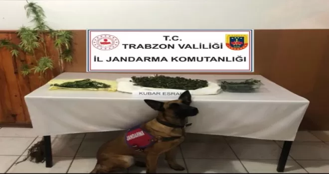 Sobaya saklanan uyuşturucuyu ‘Yatkın’ buldu