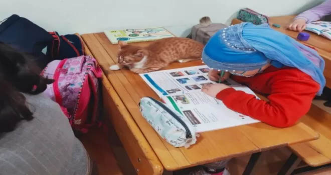 Soğuktan donmak üzereyken bulundu, okulun maskotu oldu