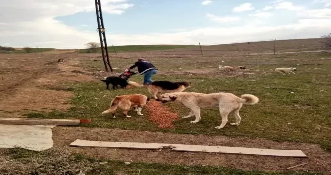 Sokağa çıkma yasağında çalışmalar devam ediyor
