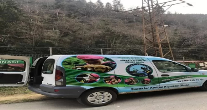 Sokak hayvanlarına ’özel araç hizmeti’
