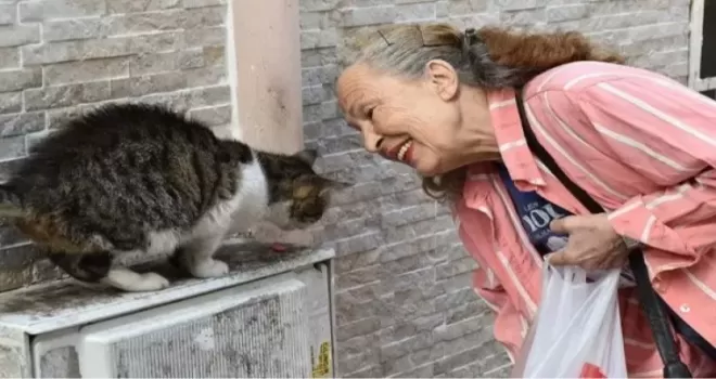 Sokak hayvanlarının “Panter Emel”i hayatını kaybetti
