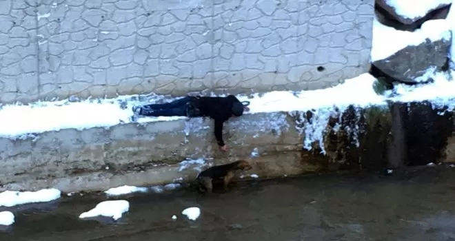 Sokak köpeğini kurtarmak için donmayı göze aldı
