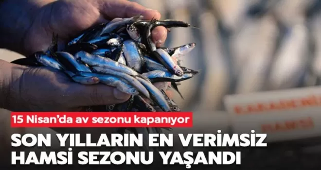 Son yılların en verimsiz hamsi sezonu yaşandı!