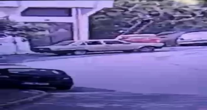Soygun için tırmandıkları merdiveni de çaldılar
