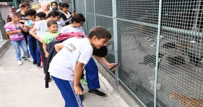 Sporcu çocuklar hayvanlarla buluştu
