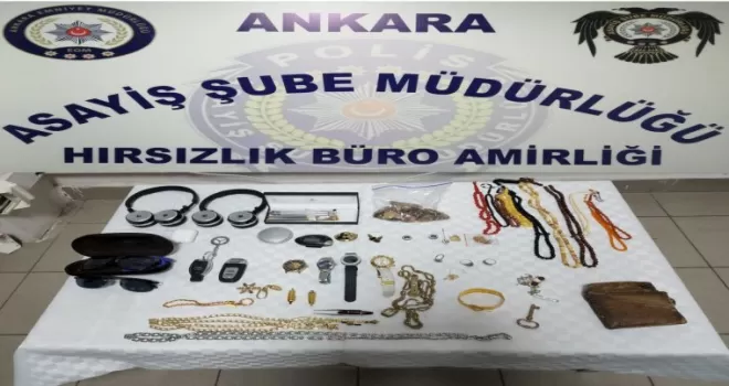 Suç makinesi hırsızlar “Yıldırım“ operasyonu ile yakalandı