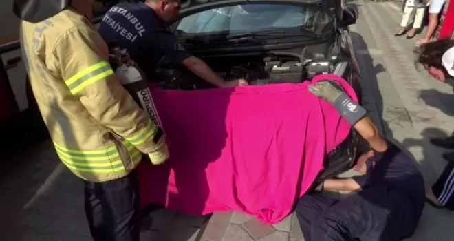Sultangazi’de kedi kurtarma operasyonu
