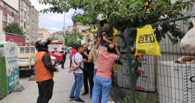 Sultangazi’de kiraz ağacından inerken kaydı: Çocuğun eline demir çit saplandı
