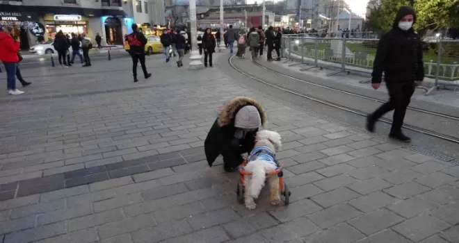 Taksim’de engelli köpeğin yürekleri ısıtan görüntüsü

