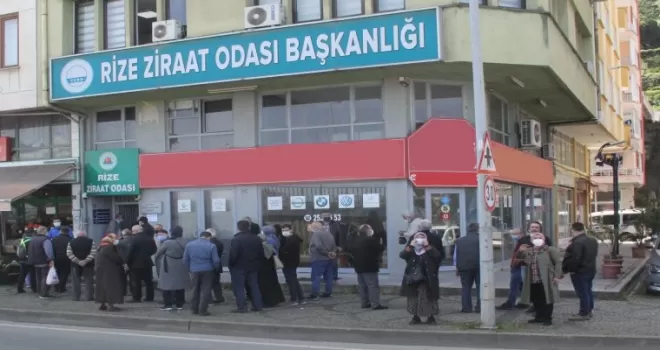 Tam kapanma öncesi çay müstahsillerinin belge kuyruğu
