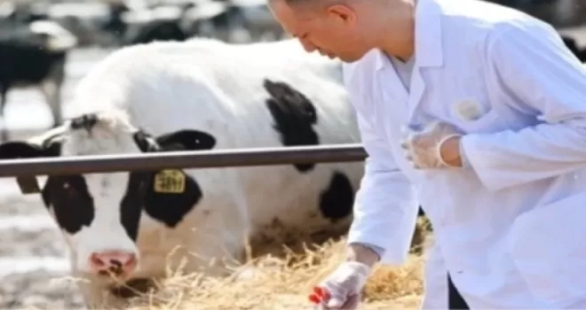 Tarım-GFE’de Mayıs verileri açıklandı... Veteriner harcamaları yine başı çekiyor