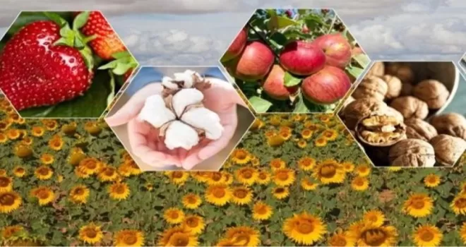 Tarımda zor yıl beklentisi! Bitkisel üretimde düşüş bekleniyor